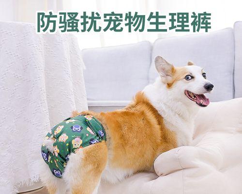 泰迪犬吃药注意事项（宠物服药全攻略）