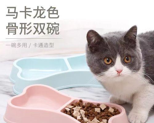 塑料猫食盆为什么不适合宠物（从卫生）