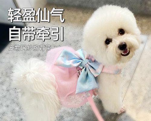 为什么小狗不喜欢小猫（探究宠物世界中的犬猫关系）