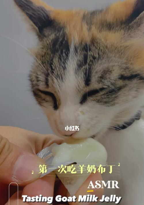 小猫为何只能喝羊奶（探究小猫对不同牛奶的反应）