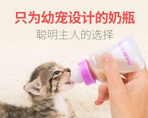 小猫不爱吃奶粉该怎么办（宠物喂养技巧分享）