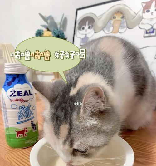 宠物猫不爱喝水的原因及解决办法（解密宠物猫的饮水习惯）