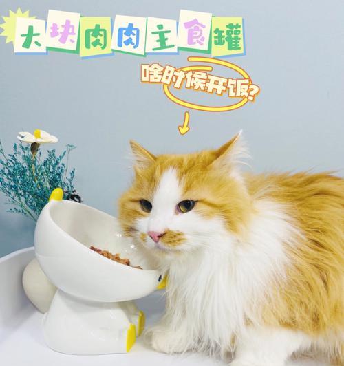 宠物猫不爱喝水的原因及解决办法（解密宠物猫的饮水习惯）