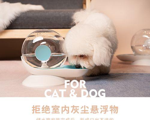 小猫不喝水怎么办（宠物爱喝清水）