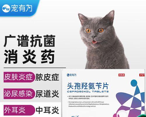 小猫感染打头孢，如何正确给它注射药物（宠物健康的保障）