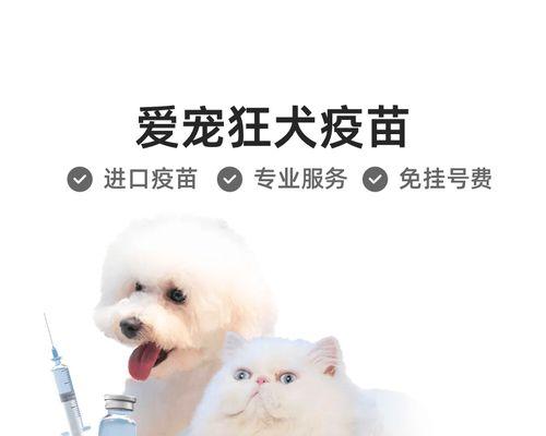 小猫打疫苗，预防疾病从我做起（宠物医疗保健）