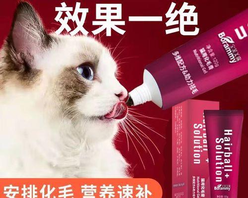 如何处理宠物小猫臭屁问题（从根源解决小猫臭屁问题）