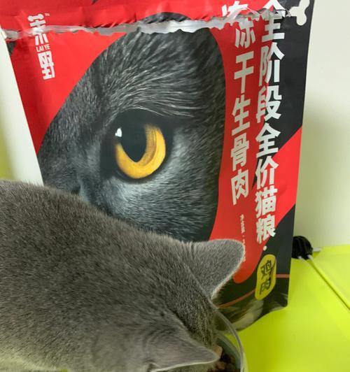 猫咪的饮食习惯与健康——能否喂食骨头（了解猫咪的消化系统和饮食需求）