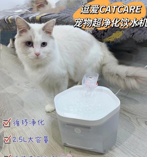 猫咪为什么喜欢扒拉水（猫咪的喝水习惯）