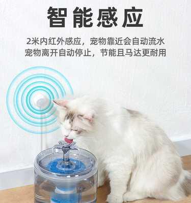 猫咪为什么喝水变多尿变黄（猫咪饮水量增加背后的原因及处理方法）