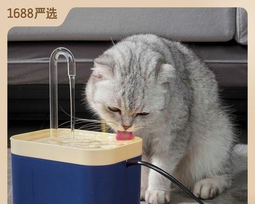 猫咪喝水能存活多久（揭秘猫咪的饮水秘密）