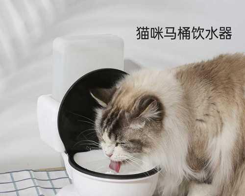 猫咪喝水的正确方式（如何让宠物猫咪喝到足够的水）