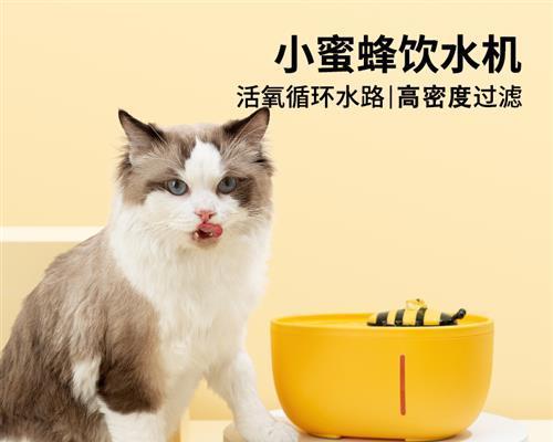 猫咪喝水的正确方式（如何让宠物猫咪喝到足够的水）