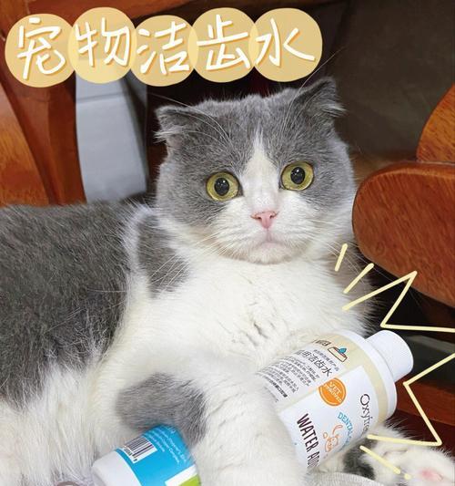 宠物猫喝蒸馏水的好处（了解宠物猫喝蒸馏水的5个理由）