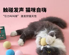 猫咪与奥特曼玩具的趣味联结（以猫咪为主的宠物世界中）