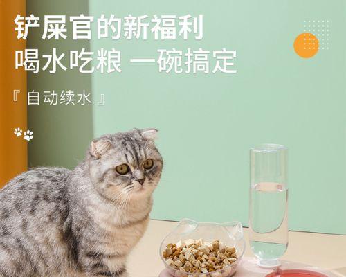 猫狗抢饭（谁能抢到最后一口）