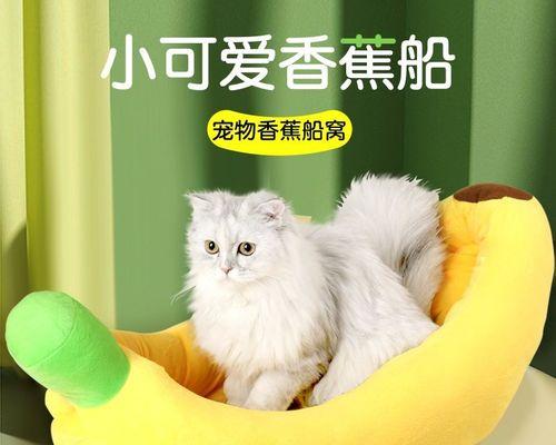 宠物的世界——猫和狗（探索猫和狗作为宠物的不同特点）