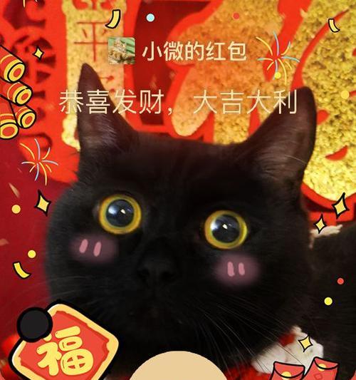 猫咪红包封面制作，让宠物更有爱（打造个性化红包）