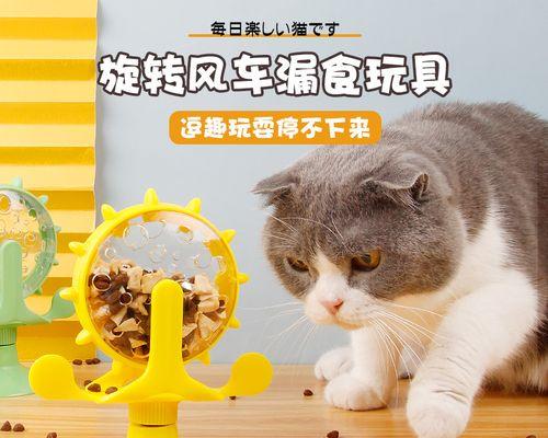 揭秘猫咪后背脱落的真相（为什么会脱落）