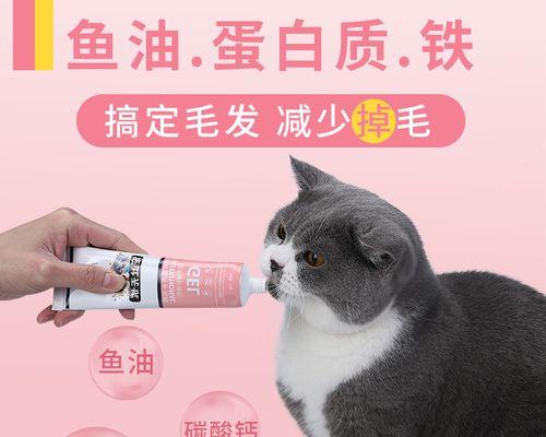 宠物爱用（让你的猫咪拥有华丽亮丽的毛发）