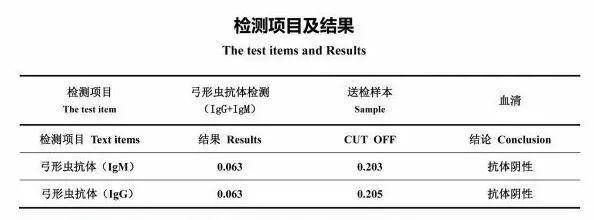 猫咪化验弓形虫（宠物保健重要性）