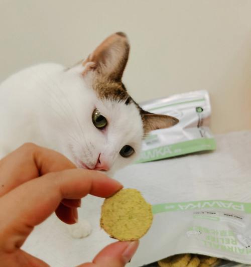 猫草在孕期是否可食用（猫草在孕期是否可食用）