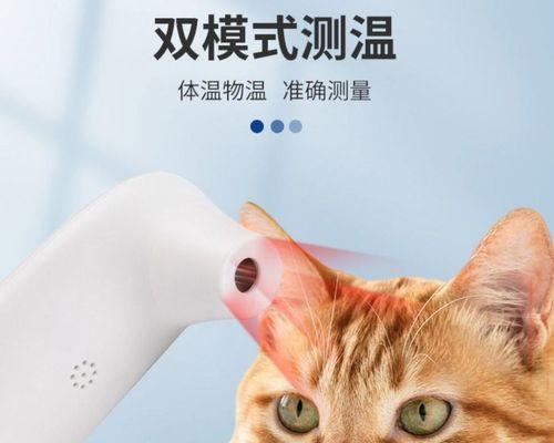 猫咪怀孕体温是否会升高（揭秘猫咪怀孕的体温变化和应对方法）