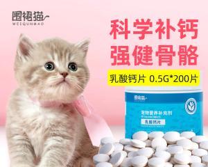 猫咪怀孕必备的营养食品（以宠物为主）