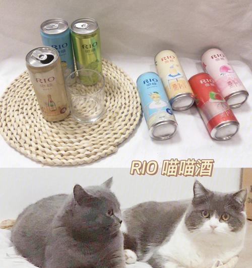 猫咪和白酒——宠物饮酒禁忌（宠物与酒精）