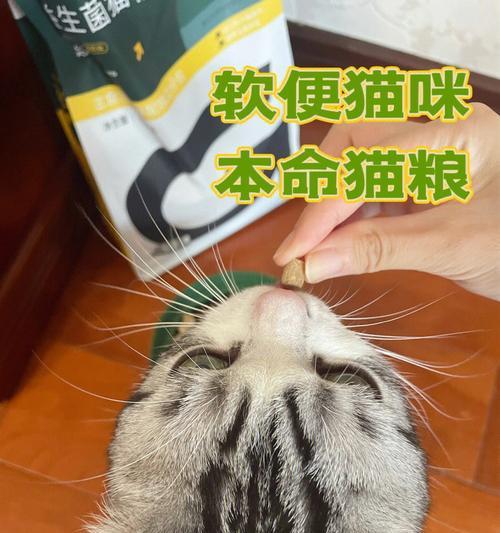 猫咪换新粮软便攻略（以宠物为主）