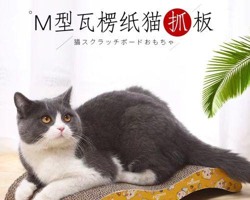 猫咪收爪子的奥秘（探寻猫咪收爪子的原因与方法）