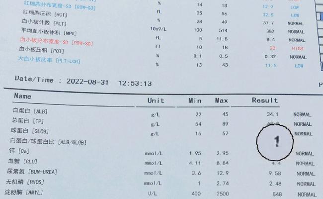 探究猫咪肌酸激酶1100的重要性（以宠物为主）