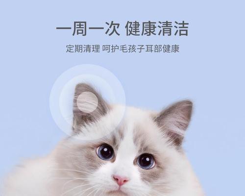 猫咪滴耳液使用指南（宠物护理必备）