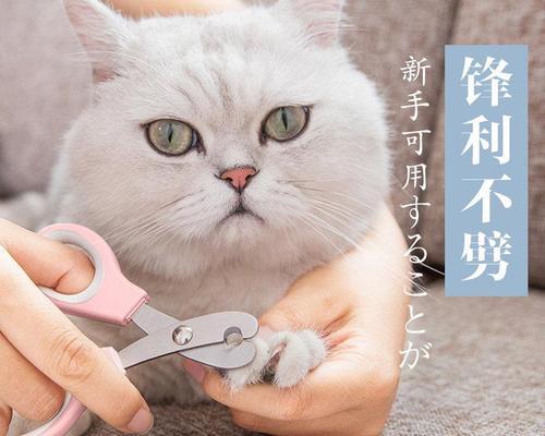 猫咪剪指甲流血了怎么办（宠物爱好者必读的急救指南）