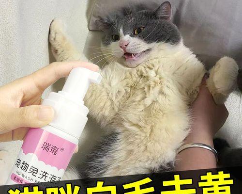 如何治疗猫咪脚后跟起皮（探索猫咪皮肤问题的原因和解决方法）