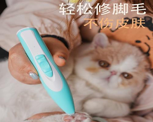 揭秘猫咪脚毛剪与不剪的利弊（猫咪脚毛是否必须剪）