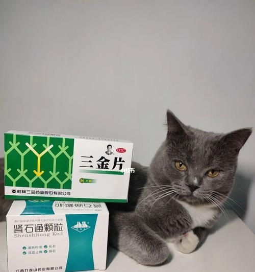 猫咪结石排出周期解析（了解宠物结石周期）