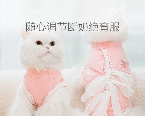 猫咪结扎与肾病关联的真相（了解结扎手术对猫咪肾脏健康的影响）