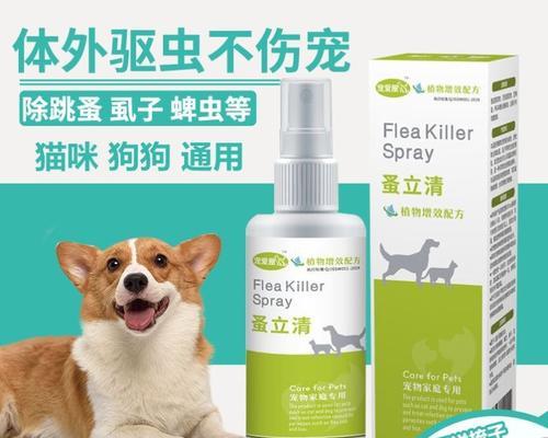 解决猫咪疥螨问题的正确用药方法（宠物健康必知）