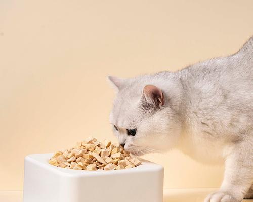 猫咪常吃狗粮有害吗（探究猫咪食用狗粮的影响及解决方法）