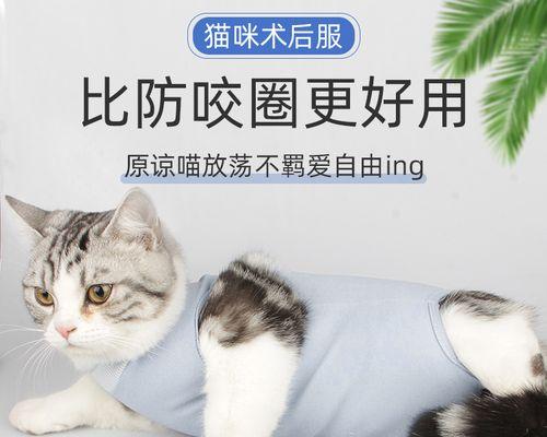 猫咪绝育后肚子凸（探究猫咪绝育后肚子凸的原因及解决方法）