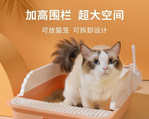 猫咪看我清理猫砂（以宠物为主）