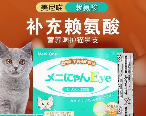 猫咪生病了怎么办（宠物饲主必读）