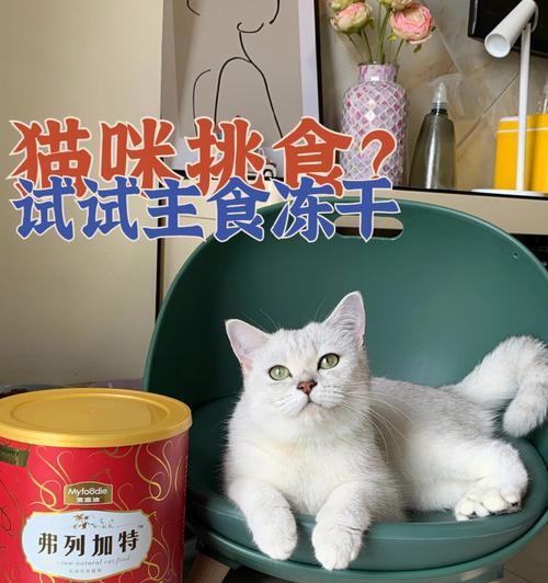 猫咪的冻干美食（一份详细的食物清单）