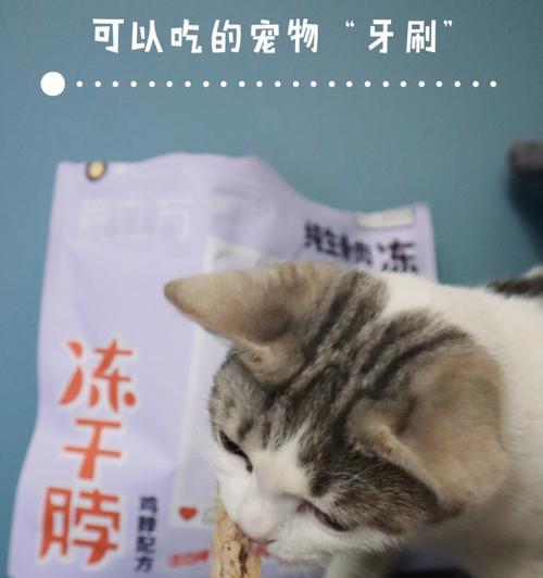 宠物猫能否食用生鹅肉（了解猫咪的饮食需求与限制）