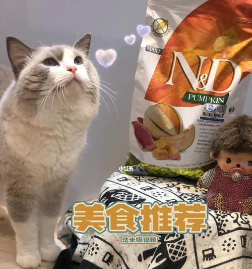 猫咪可以吃甜瓜吗（从营养成分）