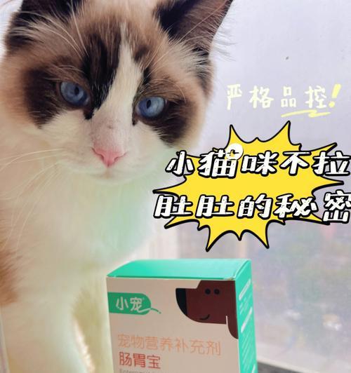 宠物猫可以喝桶装水吗（猫咪喝桶装水的优缺点及注意事项）