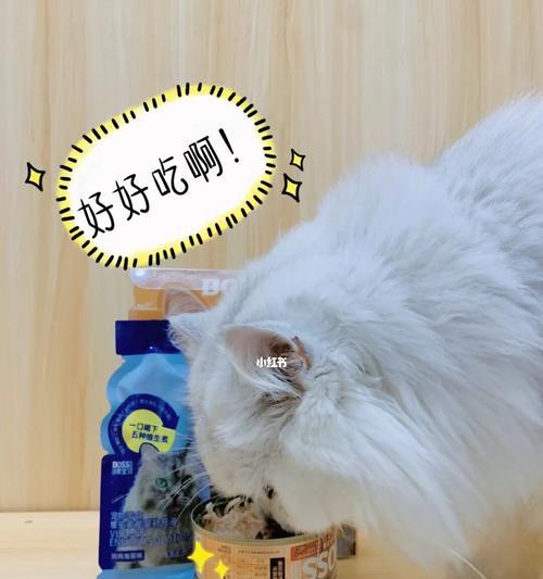 宠物猫咪需不需要补充维生素？