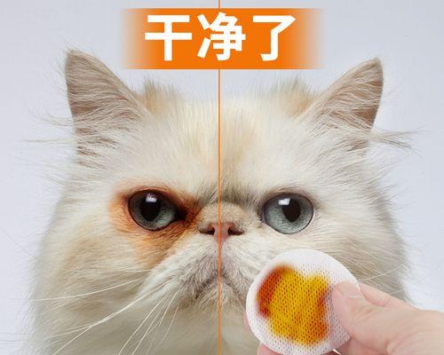 猫咪日常护理——如何正确清理眼屎（宠物猫咪必知）