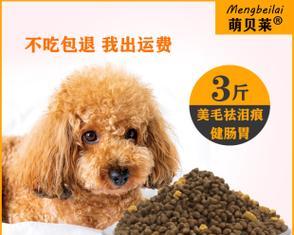 一代泰迪狗粮的使用周期剖析（泰迪犬主人必看）